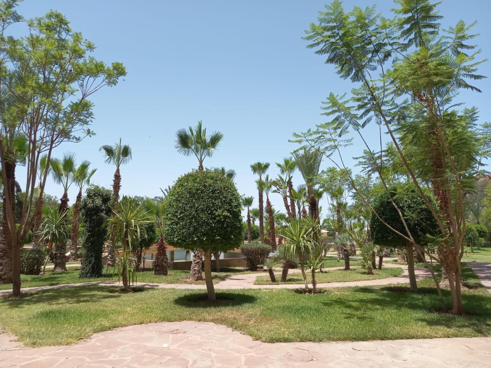 Marrakech M Avenue Terrasse Jardin Appartement Marrakesh Buitenkant foto